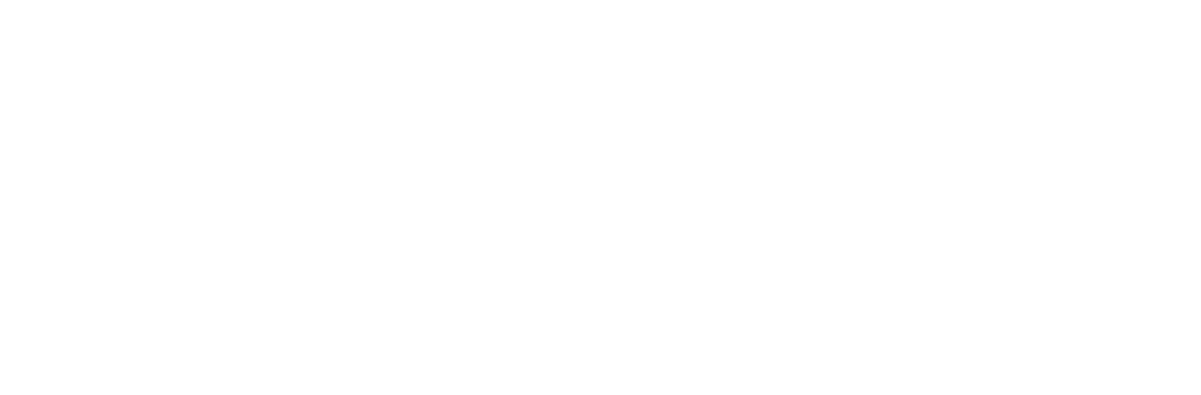 Western Foods — Distinctively Innovative